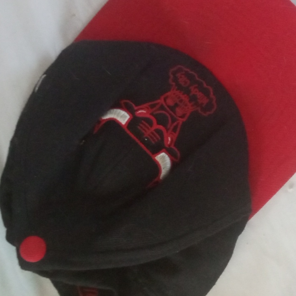 Bulls hat